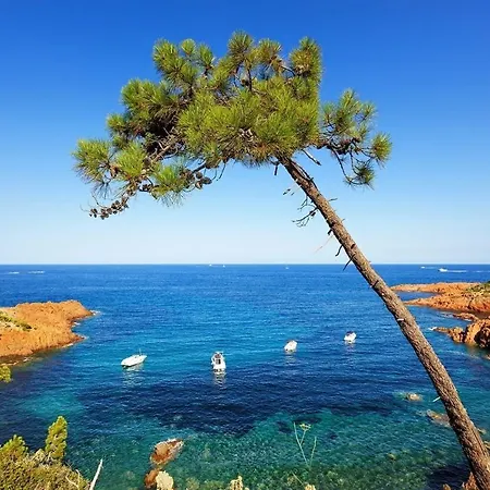 Les Flots Bleus Face A La Au Pied Du Massif De L'esterel Appartement *